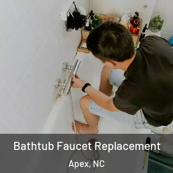  Bathtub Faucet Replacement Apex, NC