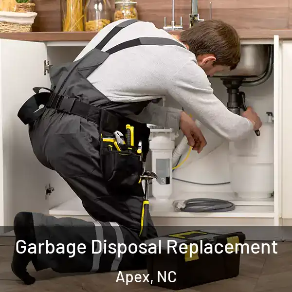 Garbage Disposal Replacement Apex, NC