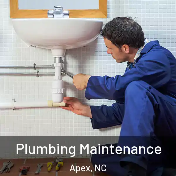  Plumbing Maintenance Apex, NC