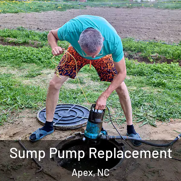  Sump Pump Replacement Apex, NC