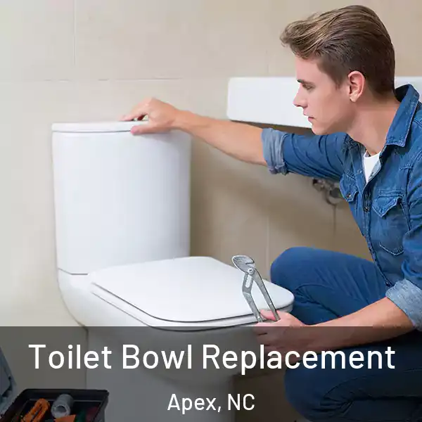  Toilet Bowl Replacement Apex, NC