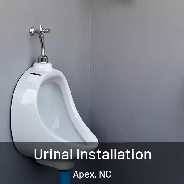 Urinal Installation Apex, NC